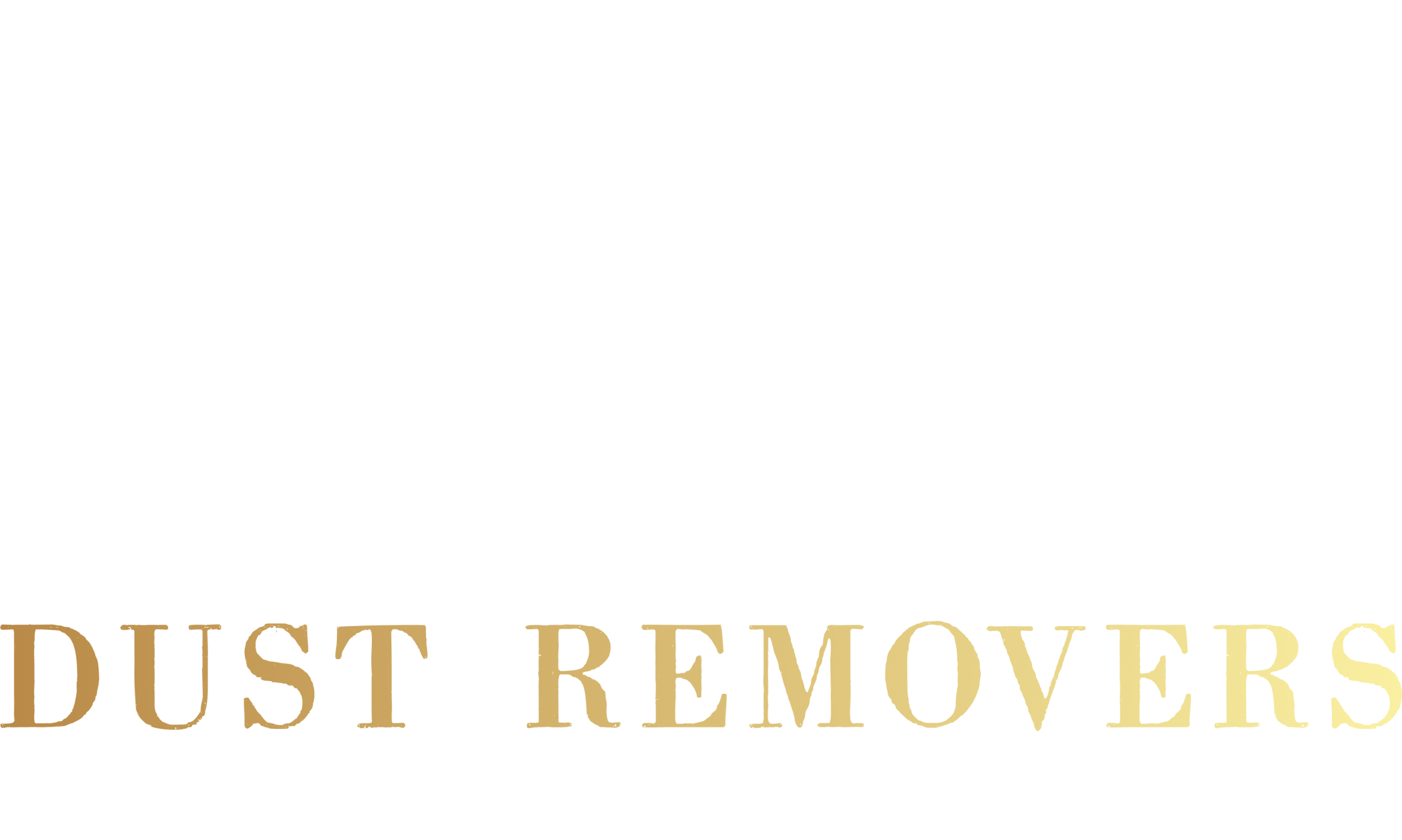 Dust Remover Cleaning Services Logo